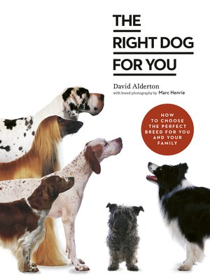 cover image of The Right Dog for You